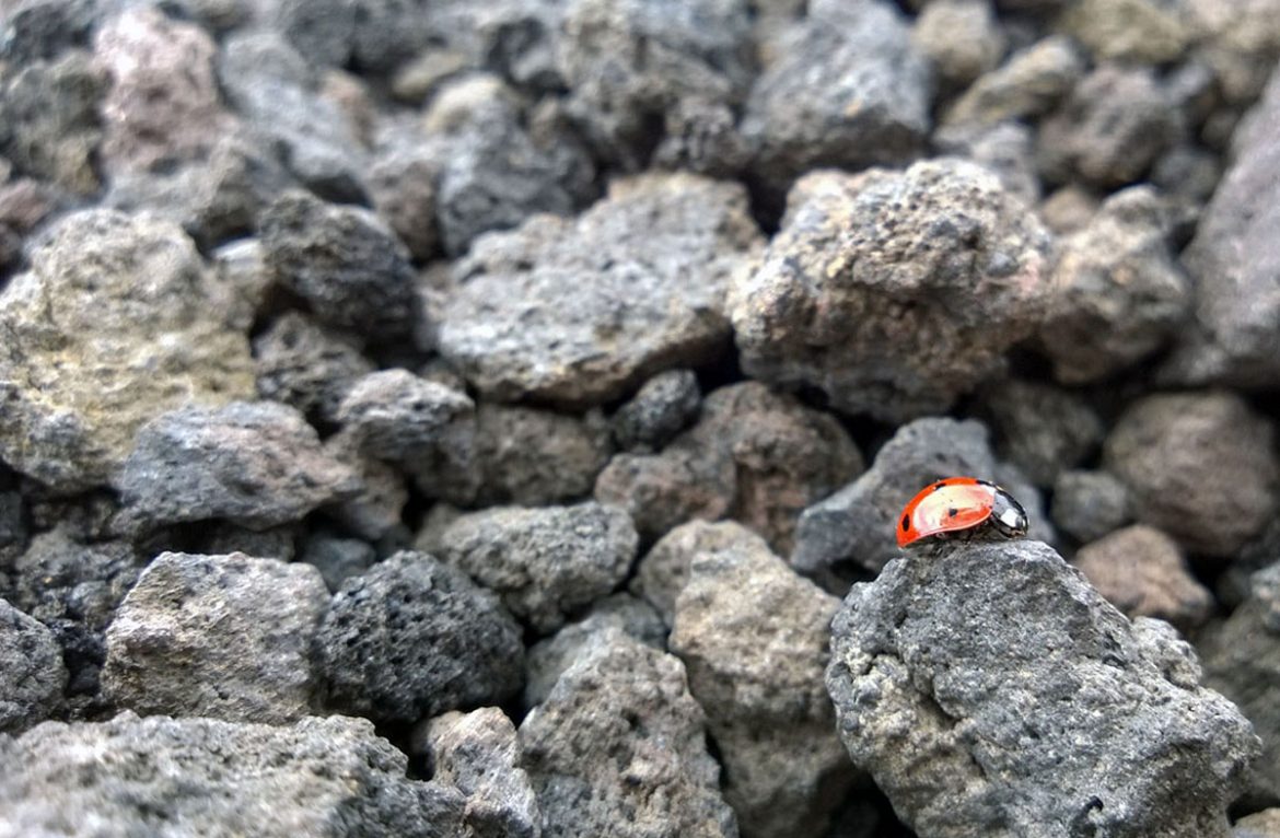 Vulkan mit Weichspüler – der Ätna auf Sizilien