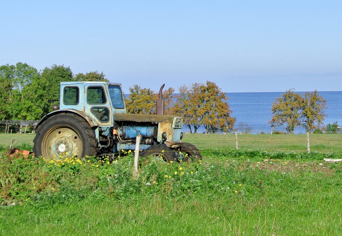 Roadtrip durchs Baltikum: Tipps & Hinweise
