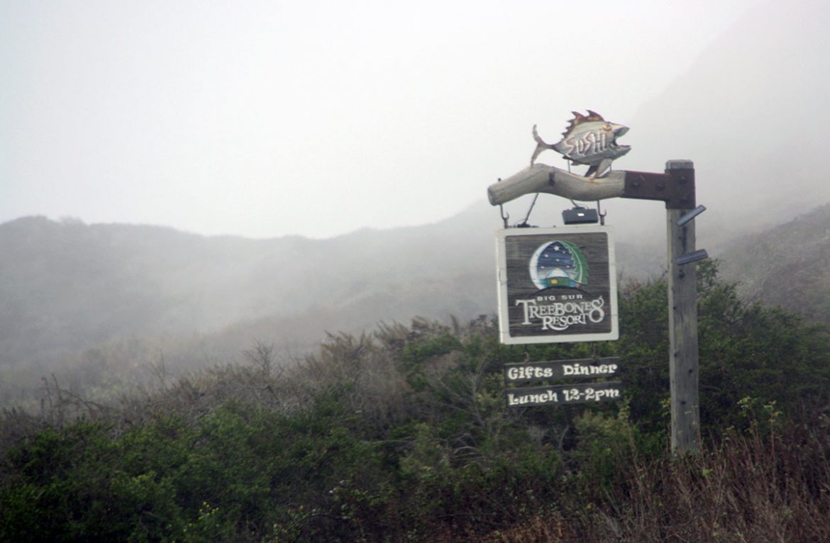 What the fog?! Der Highway 1 im Nebel