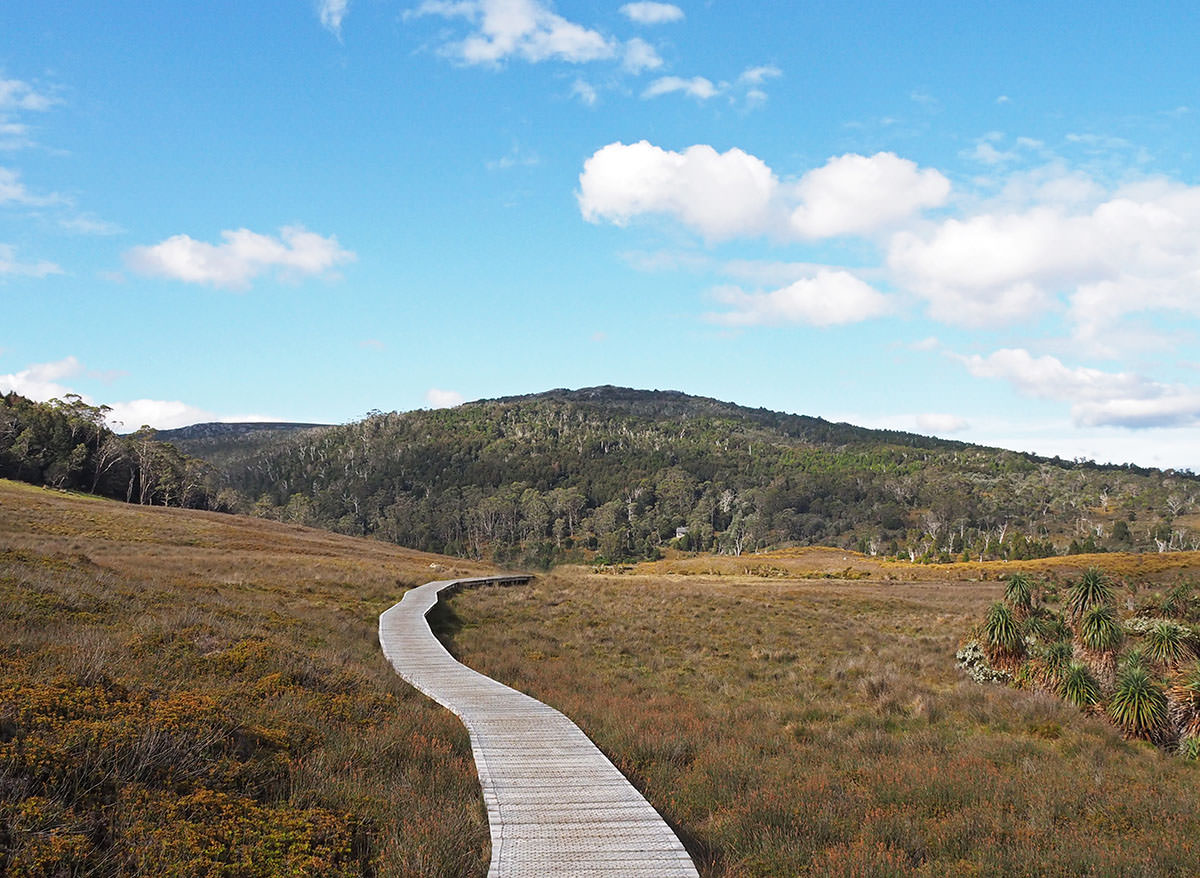 Wanderweg aus Holzplanken im Cradle Mountain Nationalpark