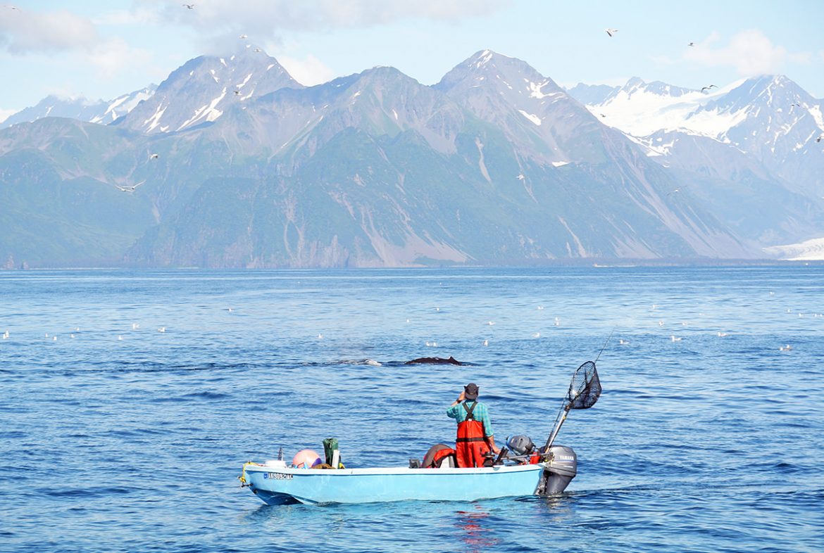 Fischer in Alaska