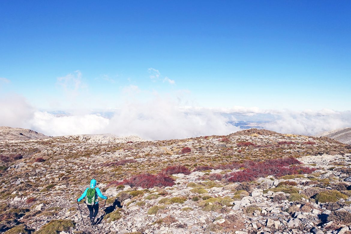 Andalusien von oben: Wanderung auf den La Maroma (2.066m)
