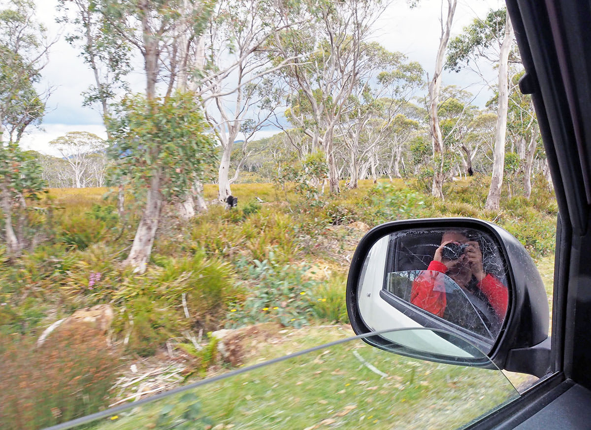 Tasmanien Roadtrip