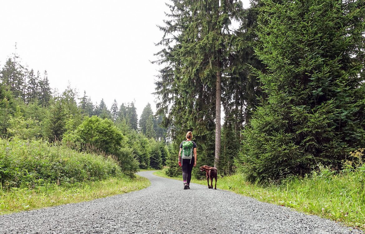 Meine Reise ins Vogtland oder warum es sich lohnt, in Deutschland zu wandern
