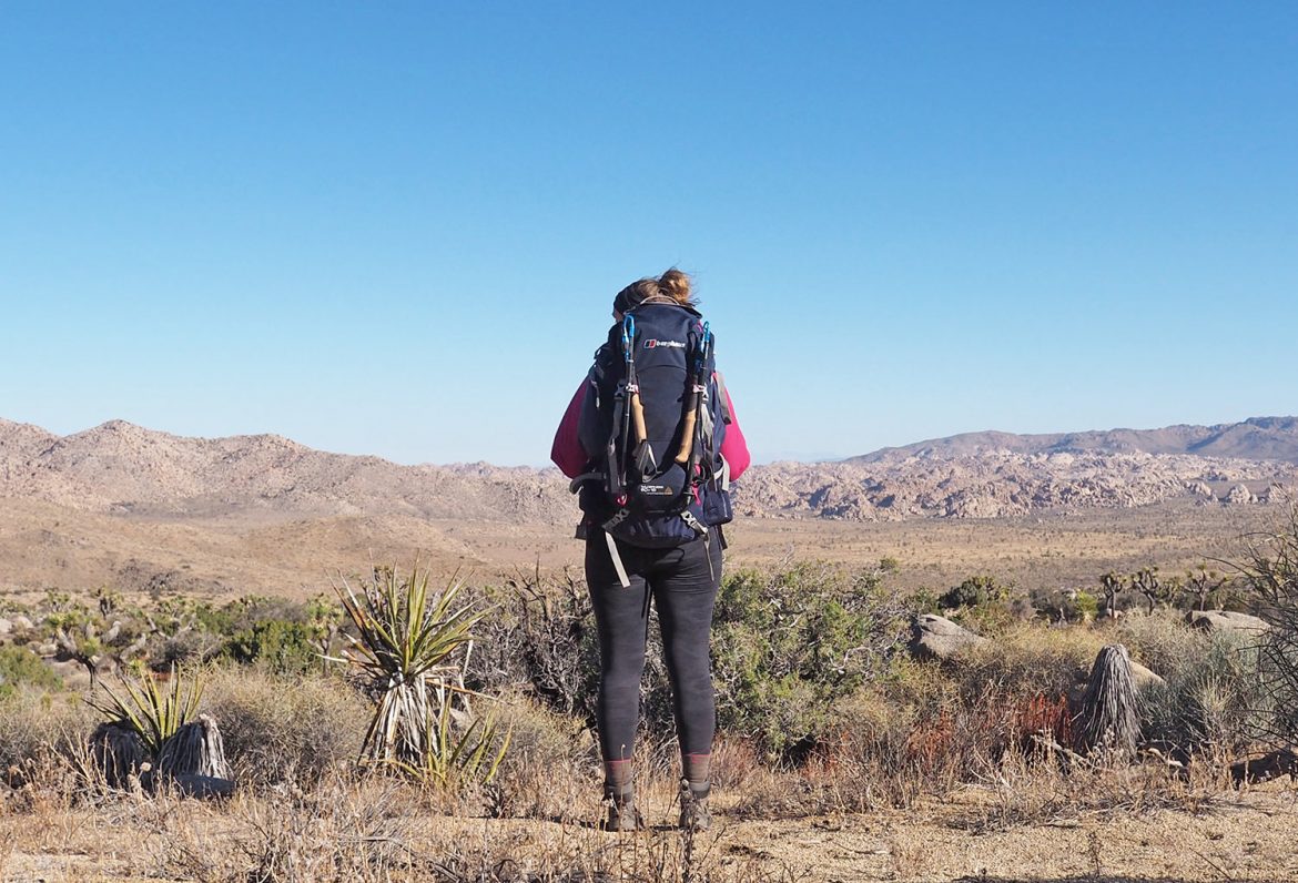 Vom Winde verweht – Trekking im Joshua Tree Nationalpark