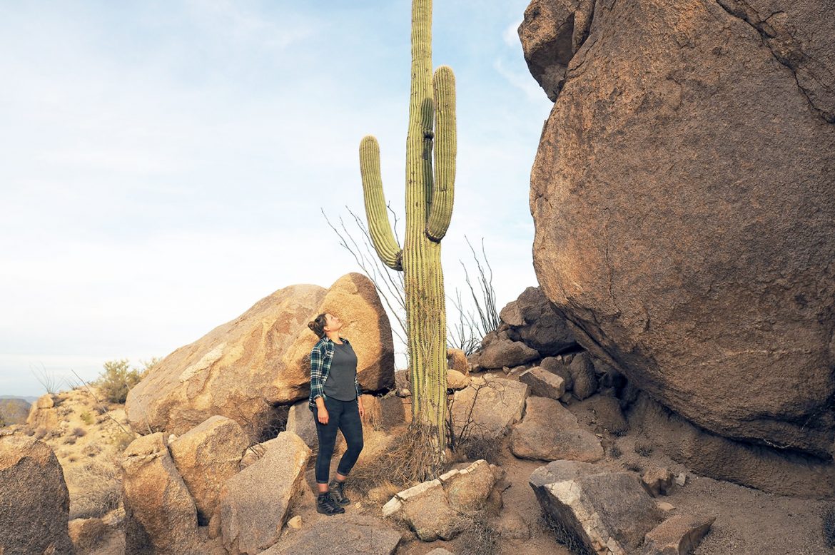 Heimat der Riesenkakteen – der Saguaro Nationalpark in Arizona