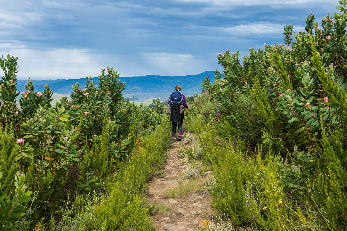 amatola trail wanderung