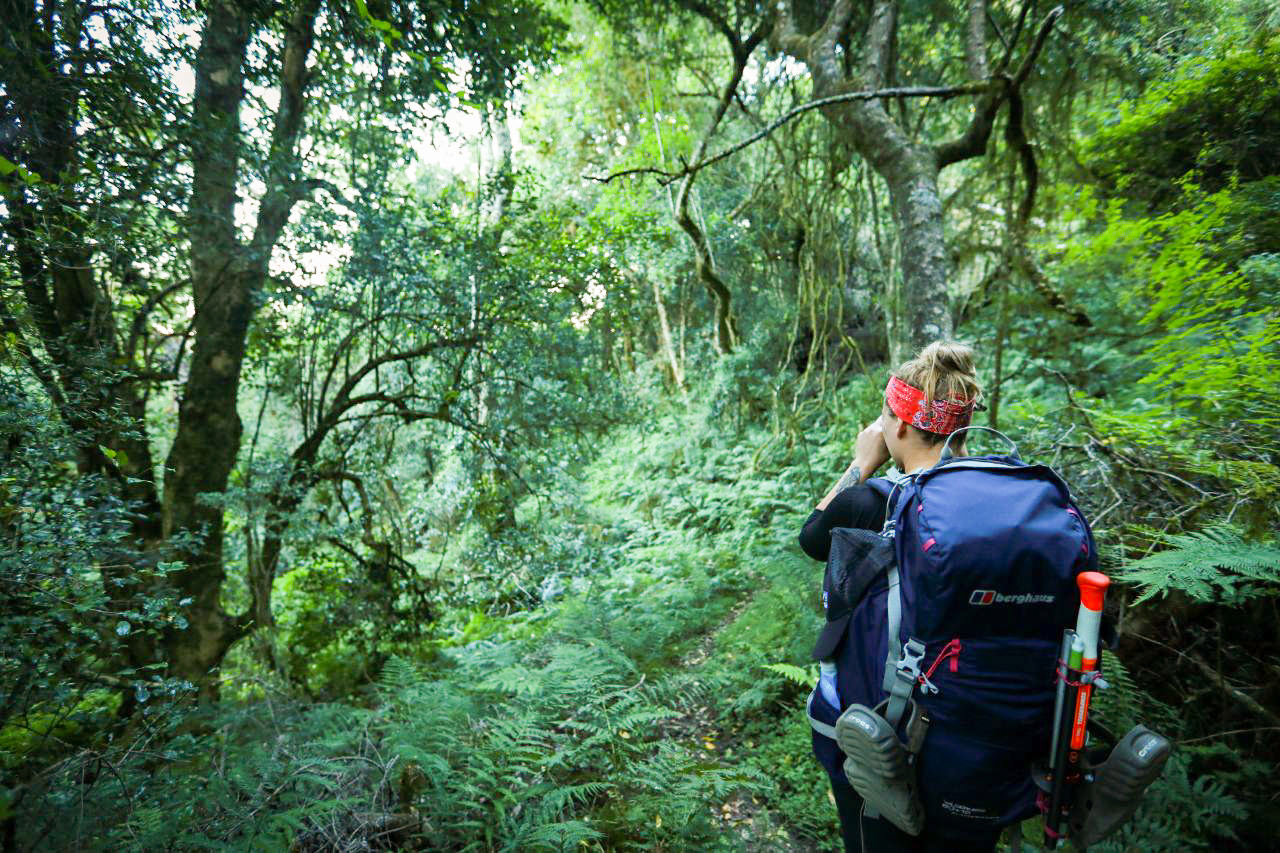 amatola trail wandern