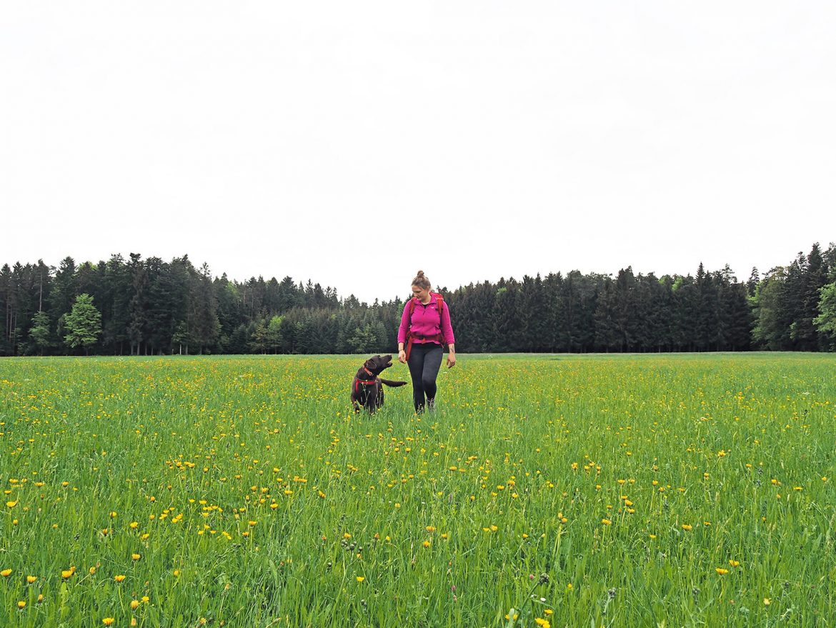 Stiefelreise Naturerlebnis: 3-Tages-Wanderung im nördlichen Schwarzwald