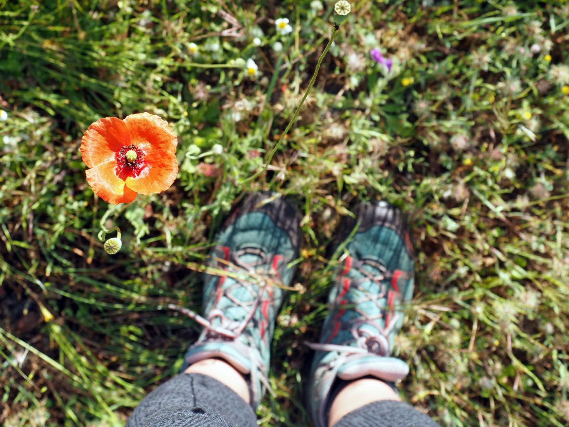 Nachhaltig Wandern – Praktische Tipps für grünere Touren nachhaltig wandern