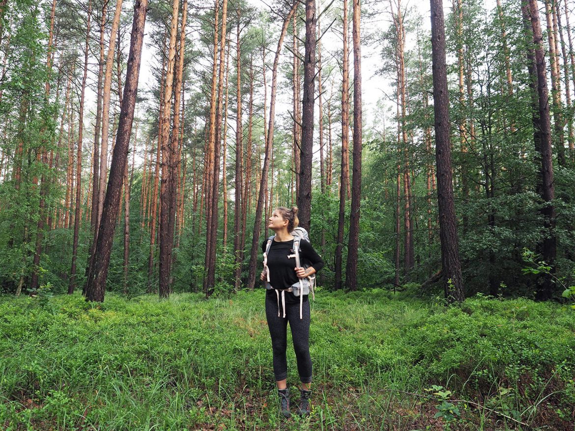 Auf dem Ruppiner-Land-Rundwanderweg durch Brandenburg ruppiner land rundwanderweg brandenburg