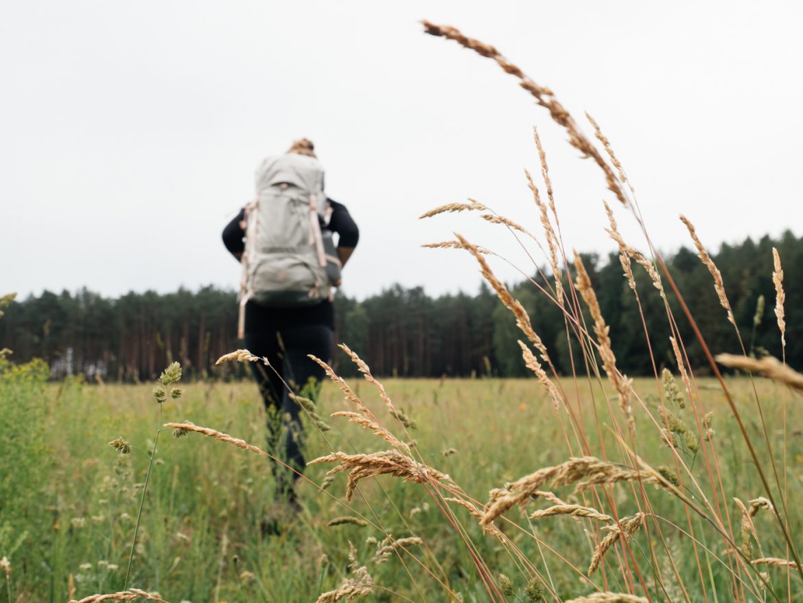 Zecken beim Wandern – so kannst Du Dich schützen