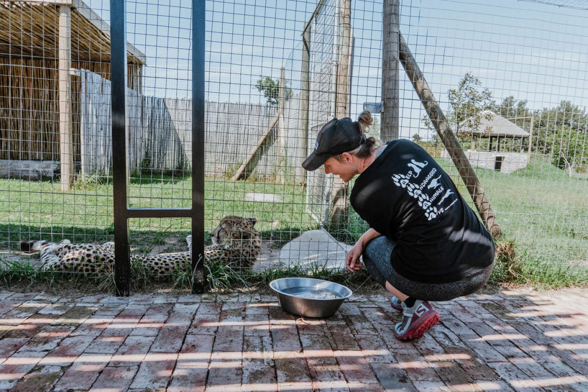 Volunteering in Südafrika – (m)ein Blick hinter die Kulissen