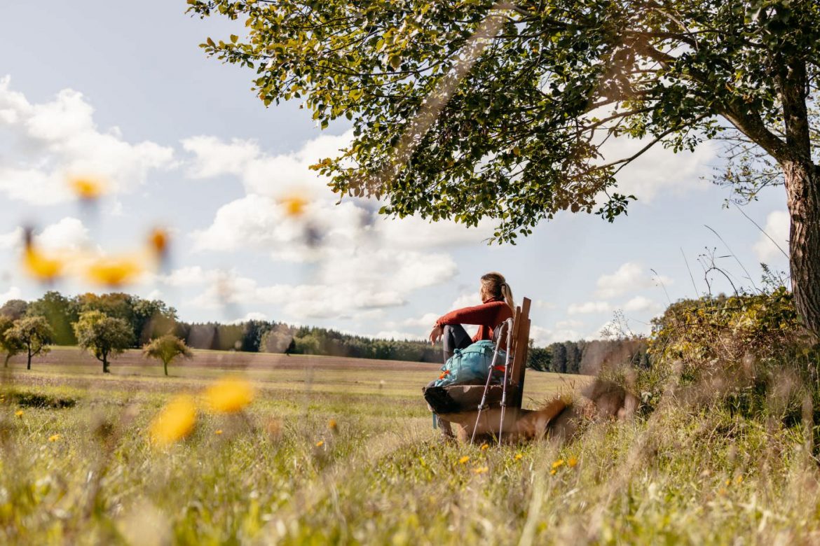 Wald und Weite: Wandern auf dem Nibelungensteig