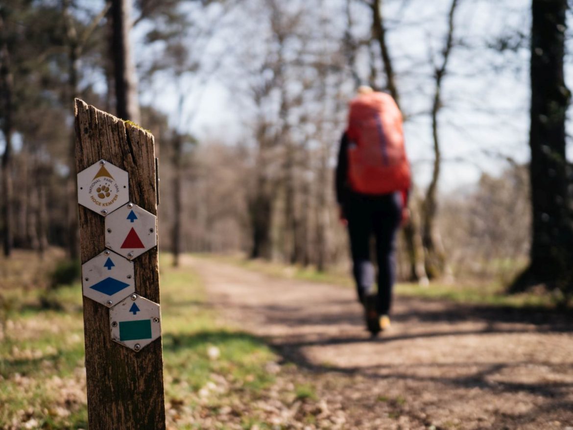 Mehrtageswanderung in Belgien: Nationalpark-Trail Hoge Kempen