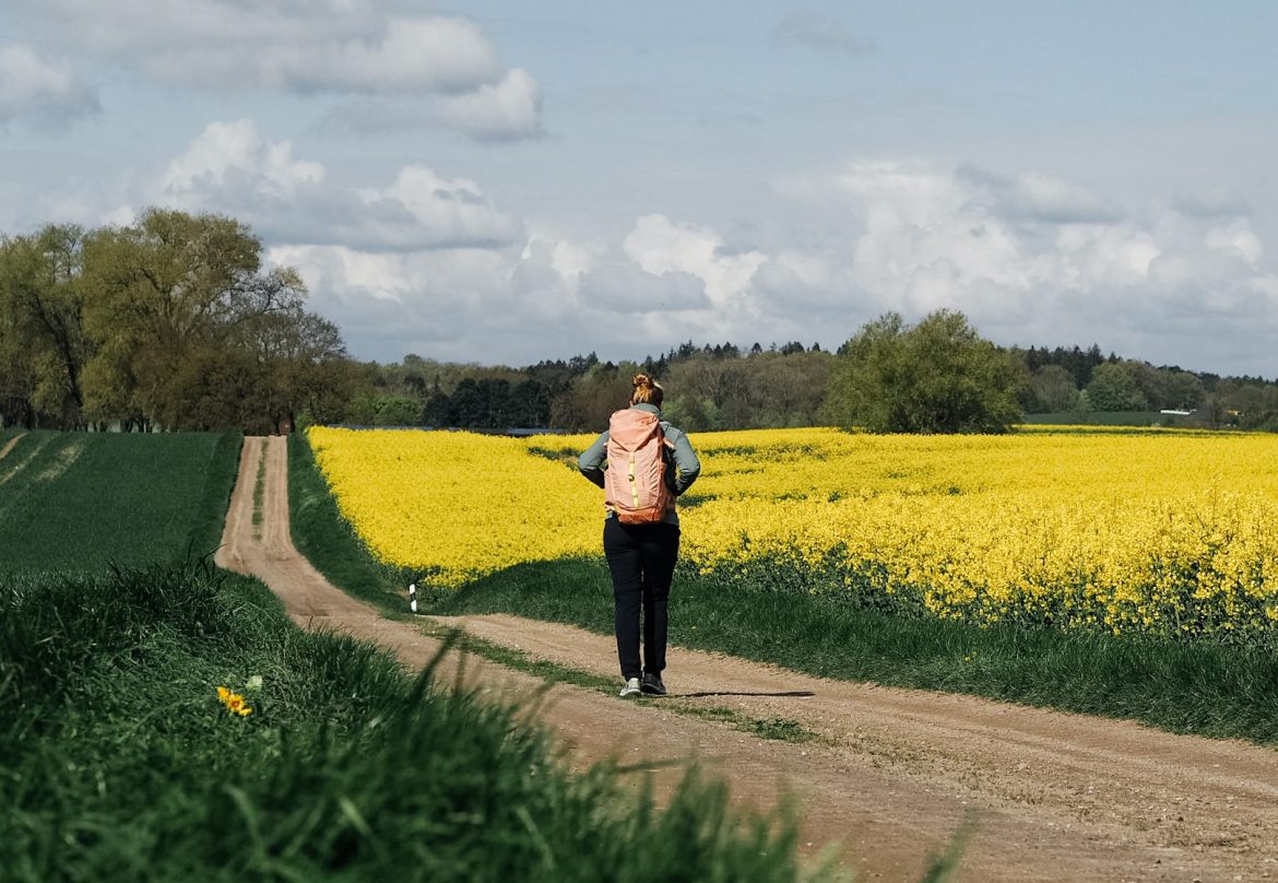Wandern an der Ostsee: Tourentipps für die Lübecker Bucht