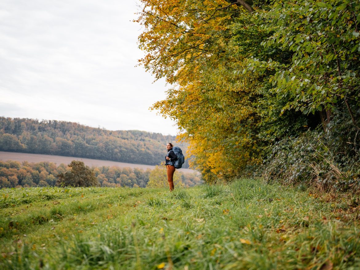 Bunte Wälder, einsame Wege: Weserbergland-Weg im Herbst