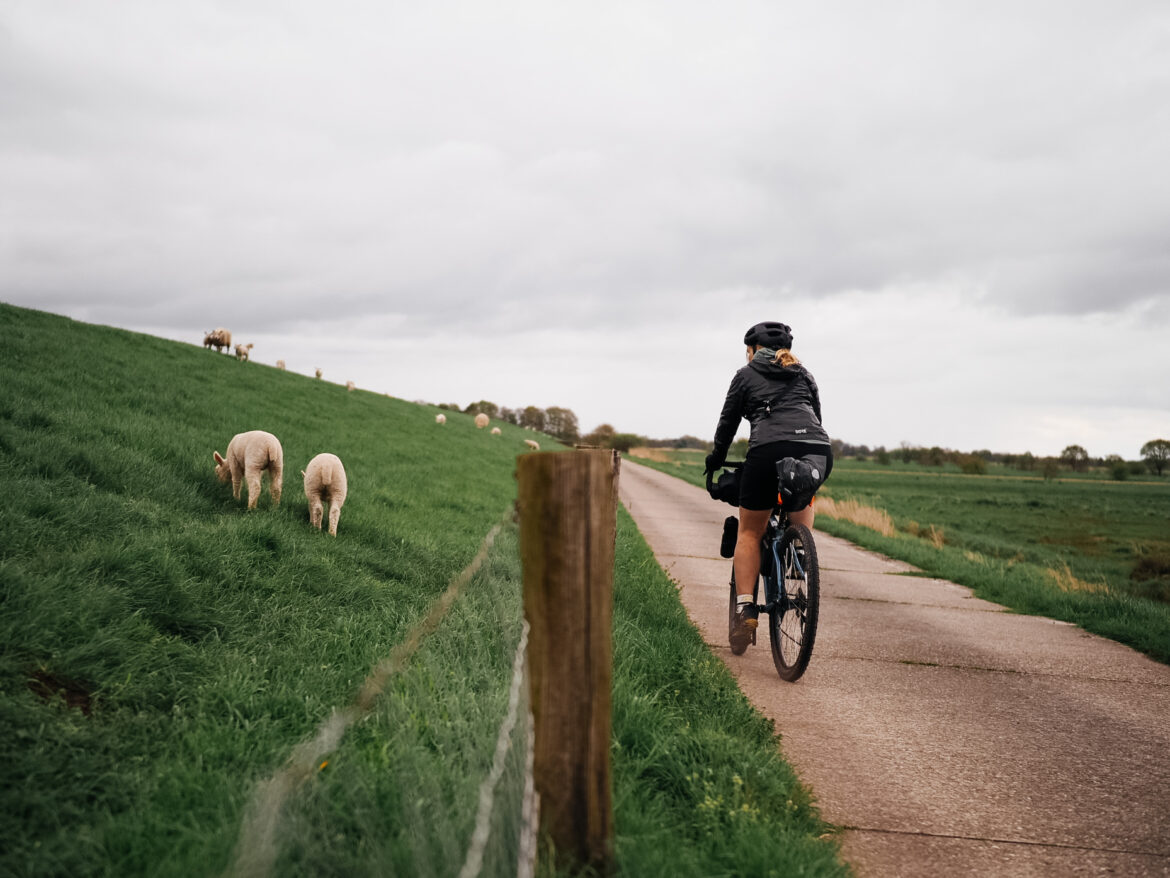 Bikepacking Bremen: drei Tage rund um die Hansestadt