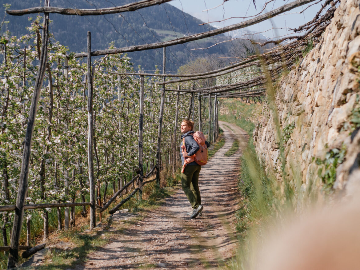 Frühling im Meraner Land: Wandern zwischen Waal und Blütenmeer