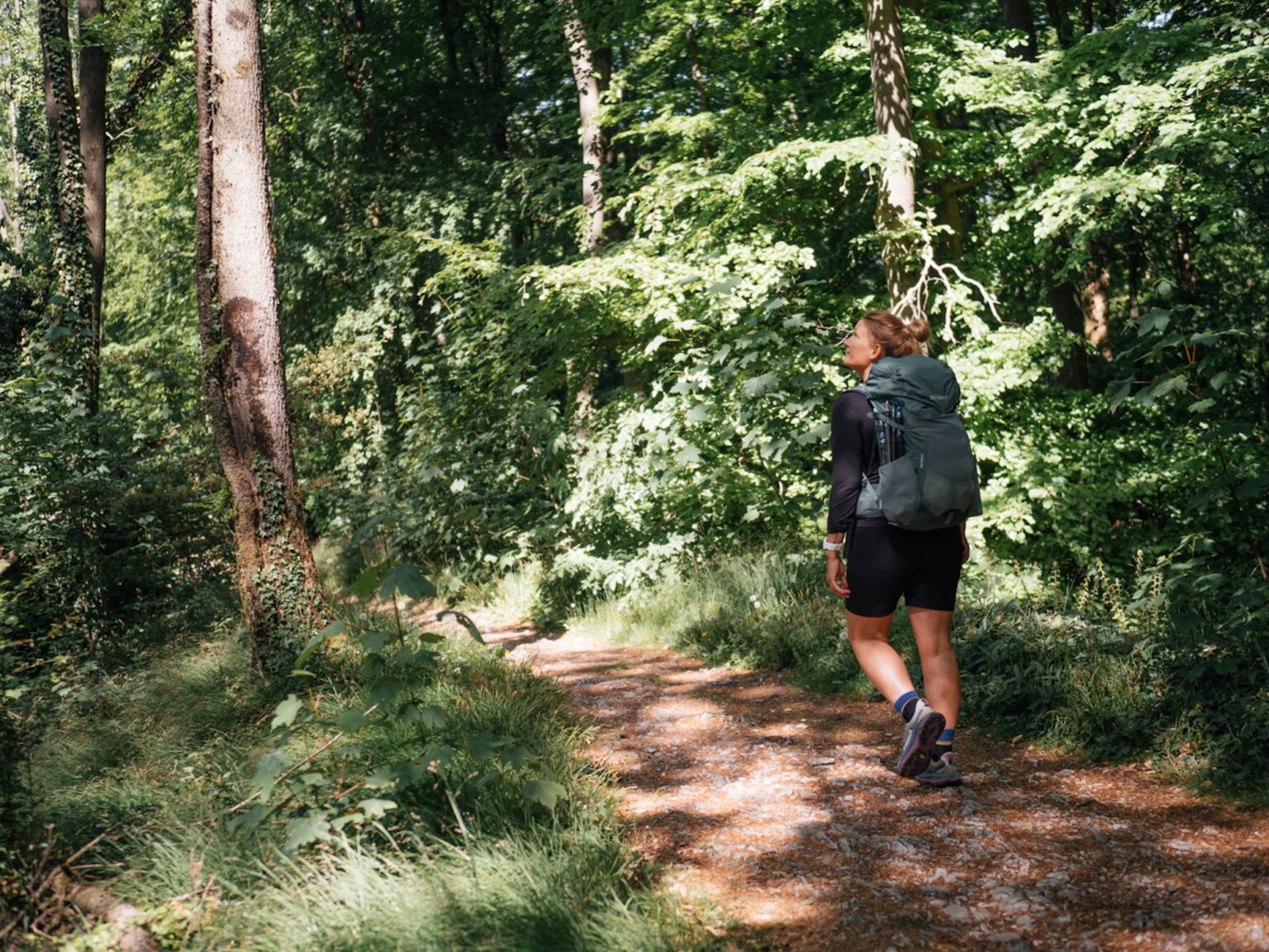 Hermannsweg: in 8 Etappen durch den Teutoburger Wald