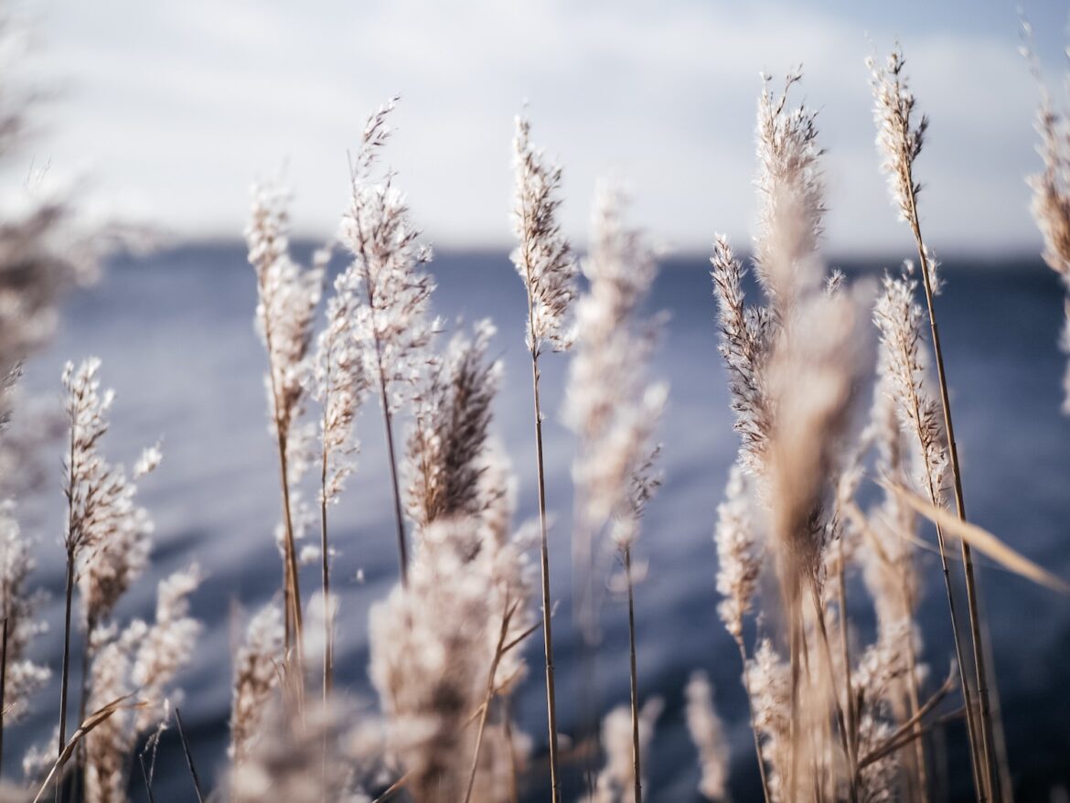 Gendarmstien Wanderbericht (Flensburger-Förde-Umrundung – Teil 1)
