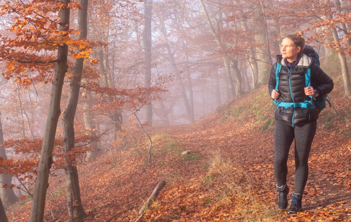 Wandern im wilden Wald: Urwaldsteig Edersee
