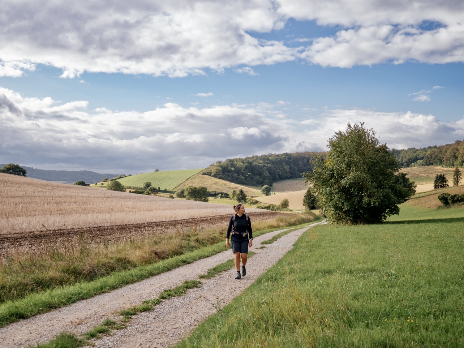 Hidden Gem im Weserbergland: Wandern im Leinebergland